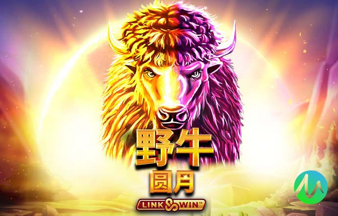 新澳门4949免费资料大全